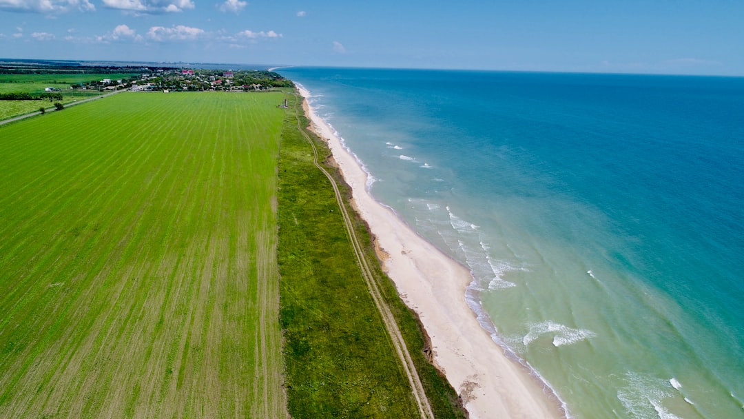 Biointerfejsy nerwowe: nowe możliwości w leczeniu zaburzeń neurologicznych